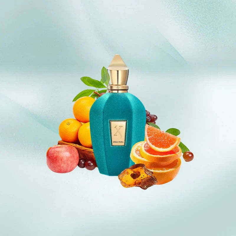 XERJOFF EBRA PURA EDP